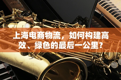 上海电商物流，如何构建高效、绿色的最后一公里？