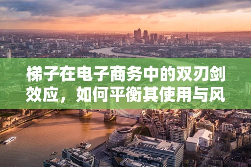 梯子在电子商务中的双刃剑效应，如何平衡其使用与风险控制？
