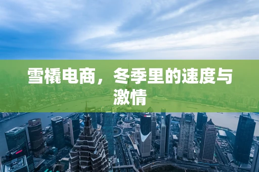 雪橇电商，冬季里的速度与激情