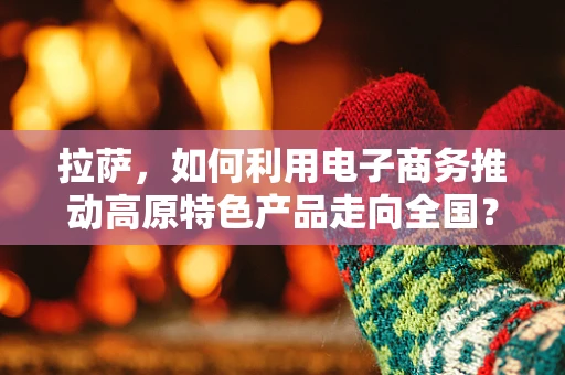 拉萨，如何利用电子商务推动高原特色产品走向全国？