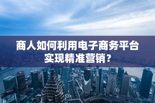 商人如何利用电子商务平台实现精准营销？