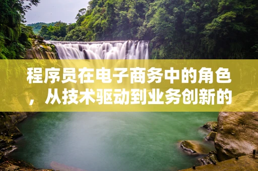 程序员在电子商务中的角色，从技术驱动到业务创新的桥梁