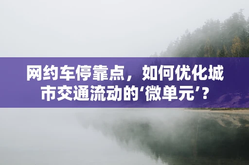 网约车停靠点，如何优化城市交通流动的‘微单元’？
