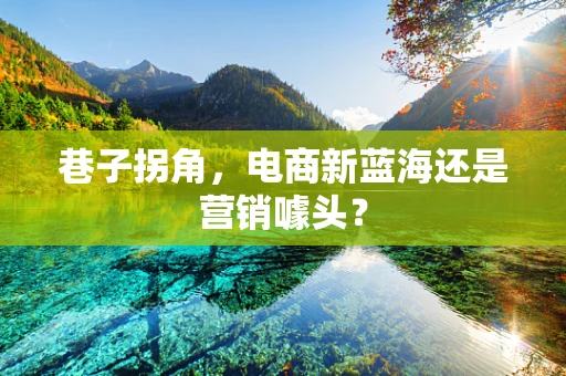 巷子拐角，电商新蓝海还是营销噱头？