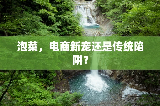 泡菜，电商新宠还是传统陷阱？