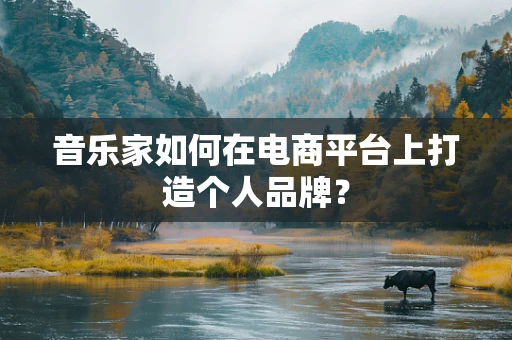 音乐家如何在电商平台上打造个人品牌？