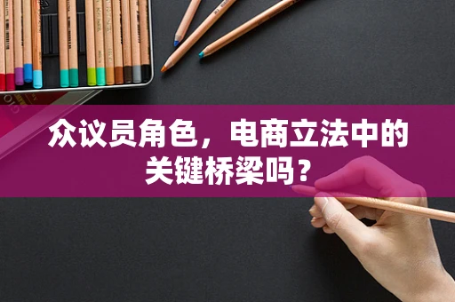 众议员角色，电商立法中的关键桥梁吗？