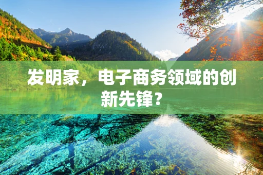 发明家，电子商务领域的创新先锋？