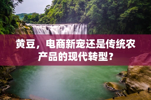 黄豆，电商新宠还是传统农产品的现代转型？