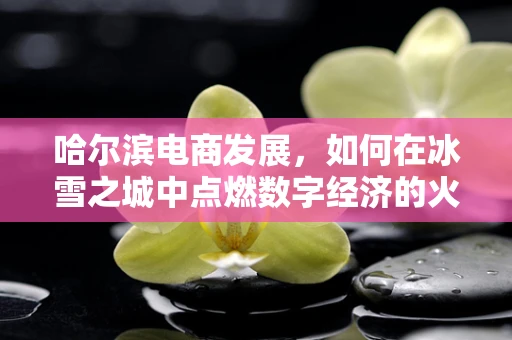 哈尔滨电商发展，如何在冰雪之城中点燃数字经济的火花？