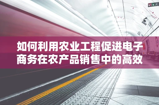 如何利用农业工程促进电子商务在农产品销售中的高效应用？