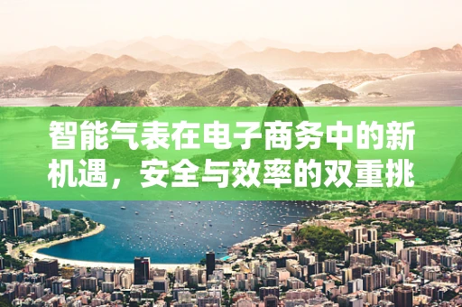 智能气表在电子商务中的新机遇，安全与效率的双重挑战？