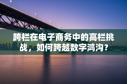 跨栏在电子商务中的高栏挑战，如何跨越数字鸿沟？