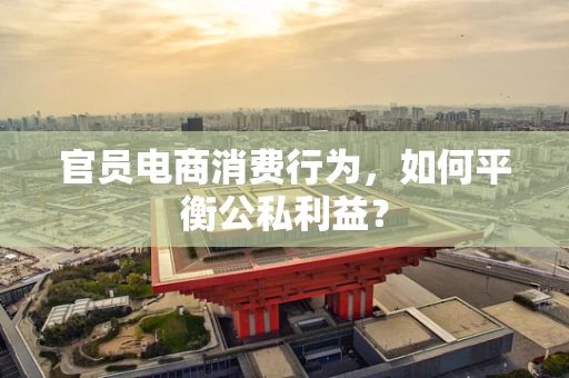 官员电商消费行为，如何平衡公私利益？