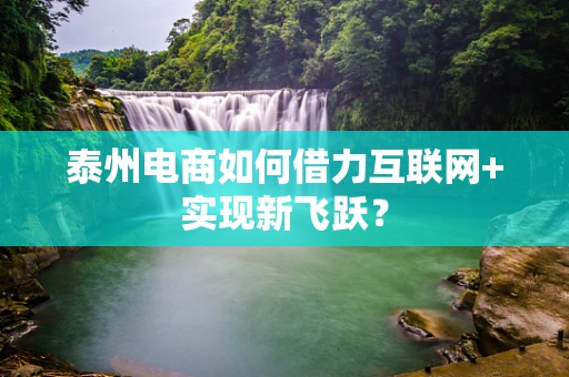 泰州电商如何借力互联网+实现新飞跃？