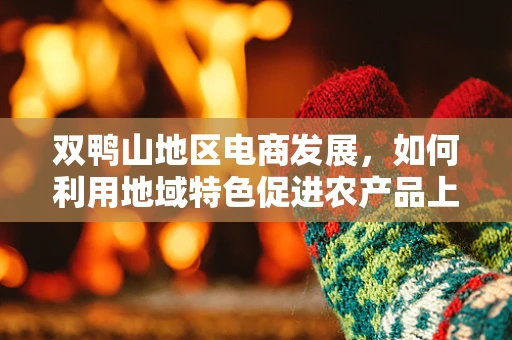 双鸭山地区电商发展，如何利用地域特色促进农产品上行？