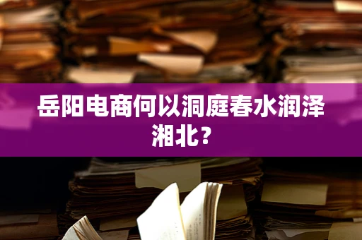 岳阳电商何以洞庭春水润泽湘北？