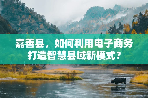 嘉善县，如何利用电子商务打造智慧县域新模式？