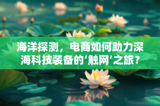 海洋探测，电商如何助力深海科技装备的‘触网’之旅？