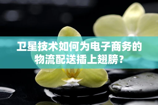 卫星技术如何为电子商务的物流配送插上翅膀？