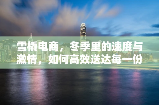 雪橇电商，冬季里的速度与激情，如何高效送达每一份温暖？