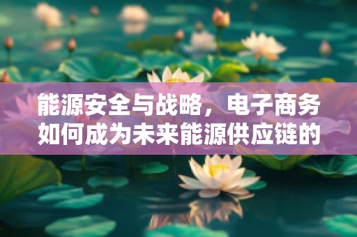 能源安全与战略，电子商务如何成为未来能源供应链的守护者？