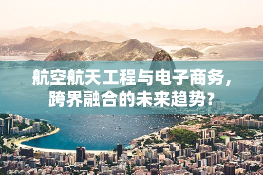 航空航天工程与电子商务，跨界融合的未来趋势？
