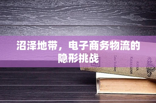 沼泽地带，电子商务物流的隐形挑战