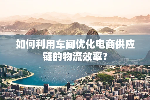 如何利用车间优化电商供应链的物流效率？