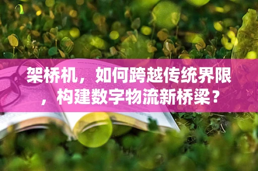 架桥机，如何跨越传统界限，构建数字物流新桥梁？