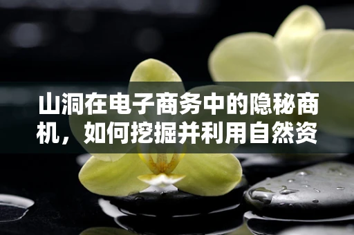 山洞在电子商务中的隐秘商机，如何挖掘并利用自然资源的线上潜力？
