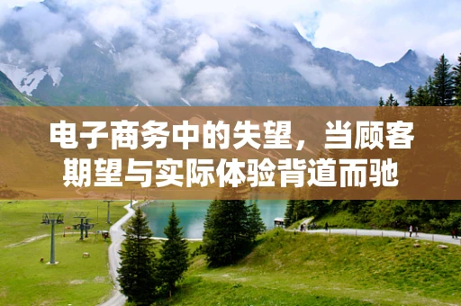 电子商务中的失望，当顾客期望与实际体验背道而驰