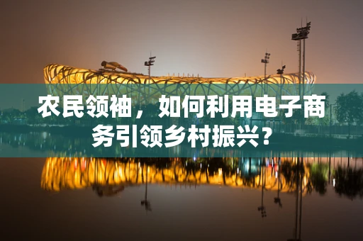 农民领袖，如何利用电子商务引领乡村振兴？