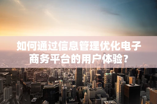 如何通过信息管理优化电子商务平台的用户体验？