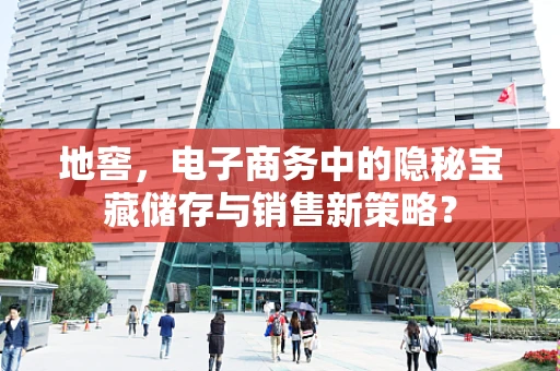 地窖，电子商务中的隐秘宝藏储存与销售新策略？