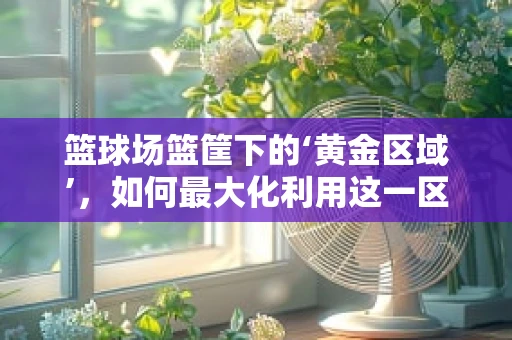 篮球场篮筐下的‘黄金区域’，如何最大化利用这一区域提升用户体验？
