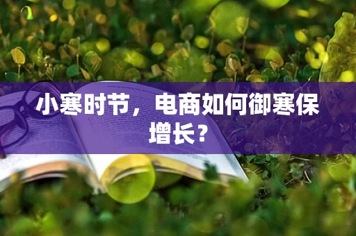 小寒时节，电商如何御寒保增长？