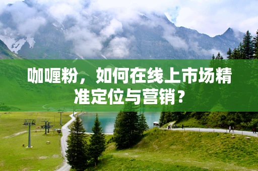 咖喱粉，如何在线上市场精准定位与营销？