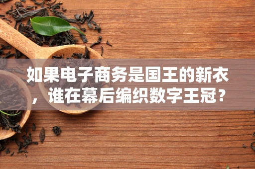 如果电子商务是国王的新衣，谁在幕后编织数字王冠？