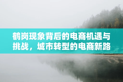 鹤岗现象背后的电商机遇与挑战，城市转型的电商新路径