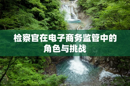 检察官在电子商务监管中的角色与挑战