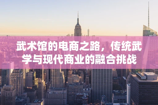 武术馆的电商之路，传统武学与现代商业的融合挑战
