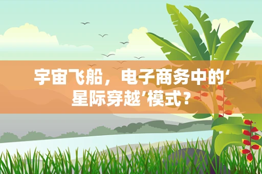 宇宙飞船，电子商务中的‘星际穿越’模式？