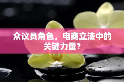 众议员角色，电商立法中的关键力量？