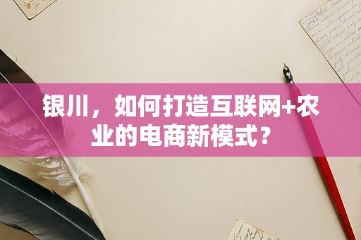 银川，如何打造互联网+农业的电商新模式？