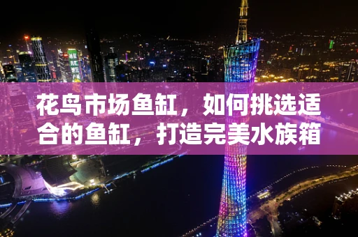 花鸟市场鱼缸，如何挑选适合的鱼缸，打造完美水族箱？