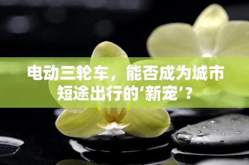 电动三轮车，能否成为城市短途出行的‘新宠’？