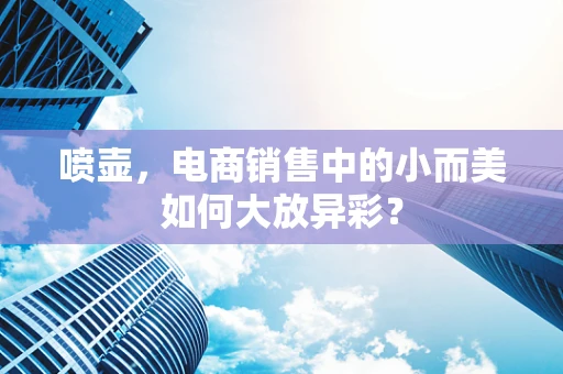 喷壶，电商销售中的小而美如何大放异彩？
