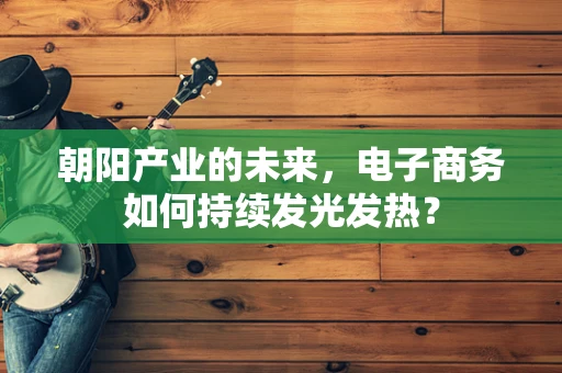朝阳产业的未来，电子商务如何持续发光发热？