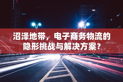沼泽地带，电子商务物流的隐形挑战与解决方案？